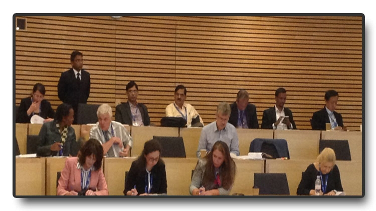 Institutional Leadership and Academic Governance